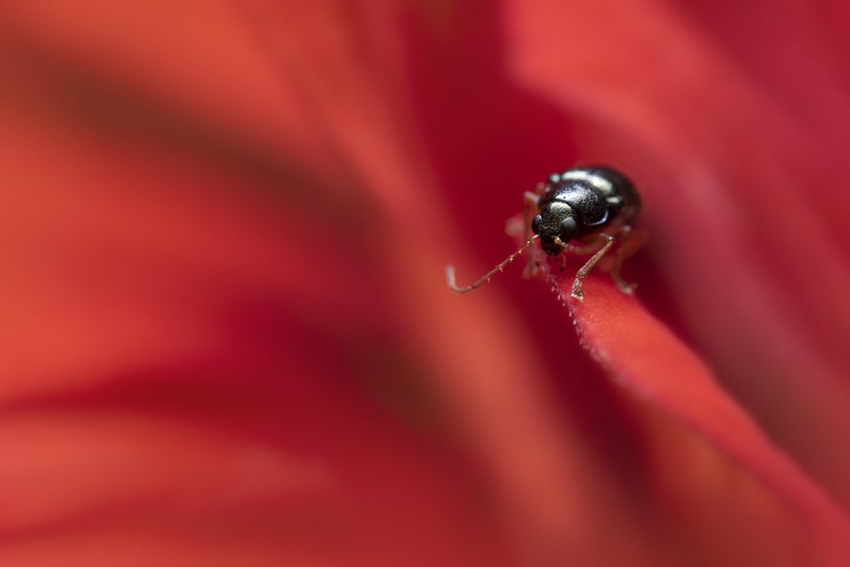 72 DSC_0100 2