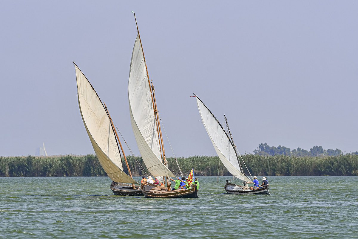 Nacho Rousaud Vela Latina 3